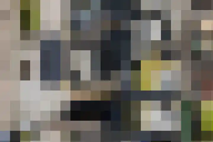 Ds. S. Huismansstrjitte 65 Stiens thumbnail 47