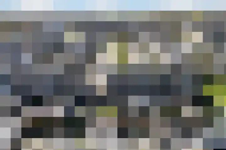 Ds. S. Huismansstrjitte 65 Stiens thumbnail 48