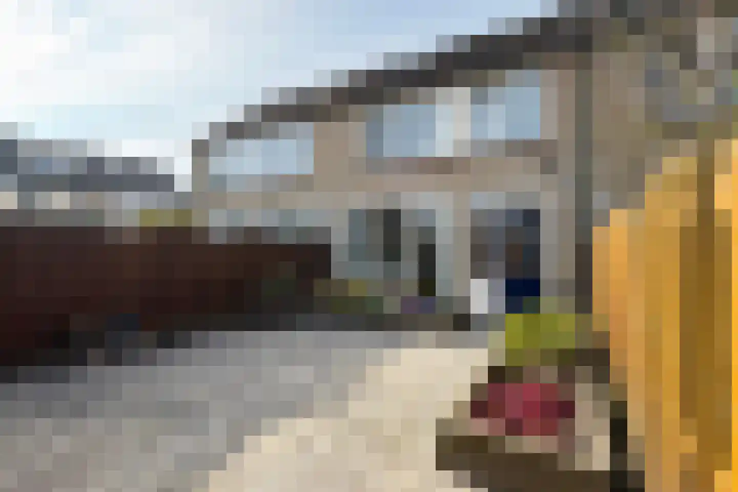 Ds. Sanderslaan 12 Willemstad thumbnail 5