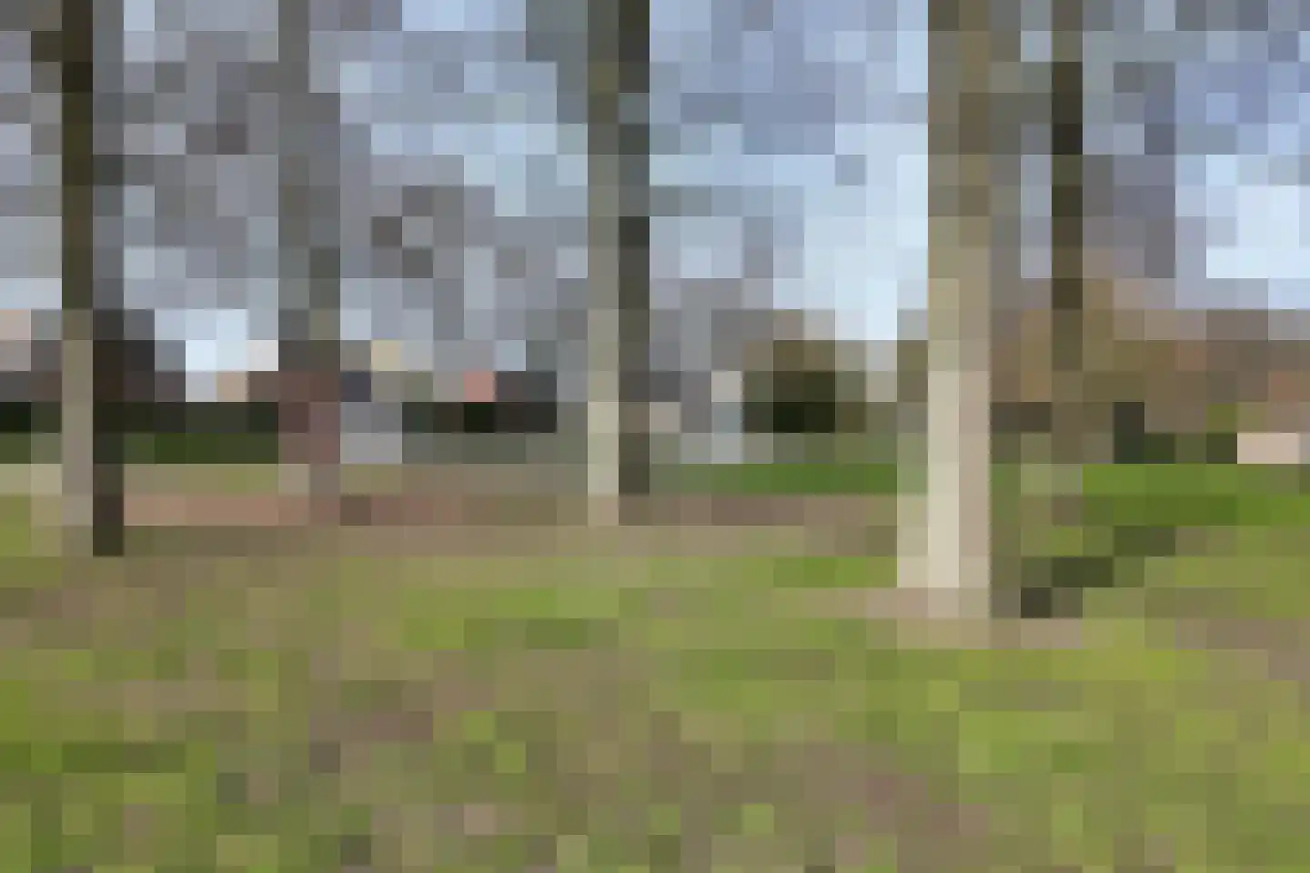 Ds. Sanderslaan 12 Willemstad thumbnail 57