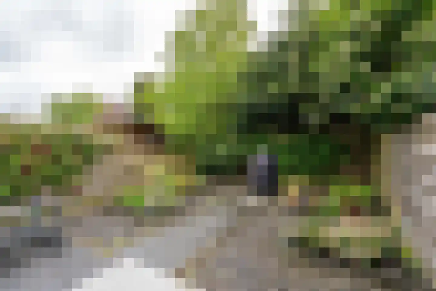 Ds. Sannesstraat 136 Veendam thumbnail 34