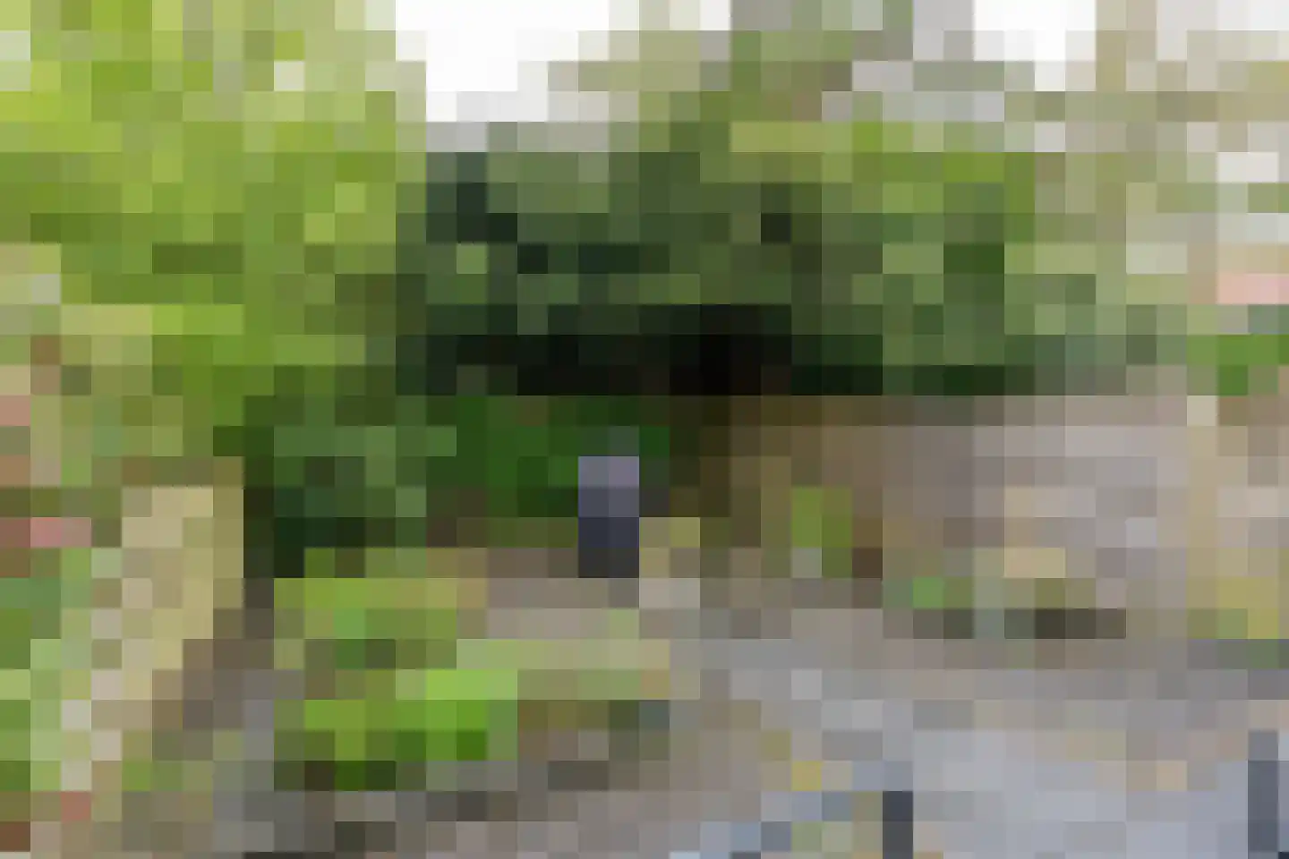 Ds. Sannesstraat 136 Veendam thumbnail 35
