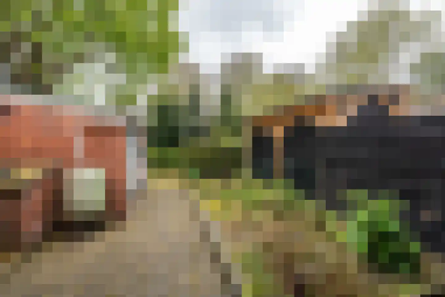 Ds. Sannesstraat 136 Veendam thumbnail 37