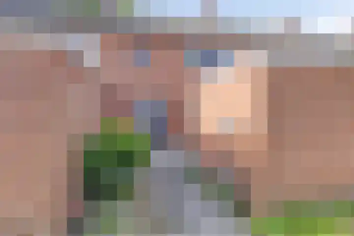 Ds. Sannesstraat 96 Veendam foto 2