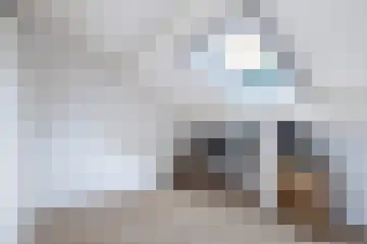 Ds. Schipperstraat 6 Willemsoord thumbnail 32