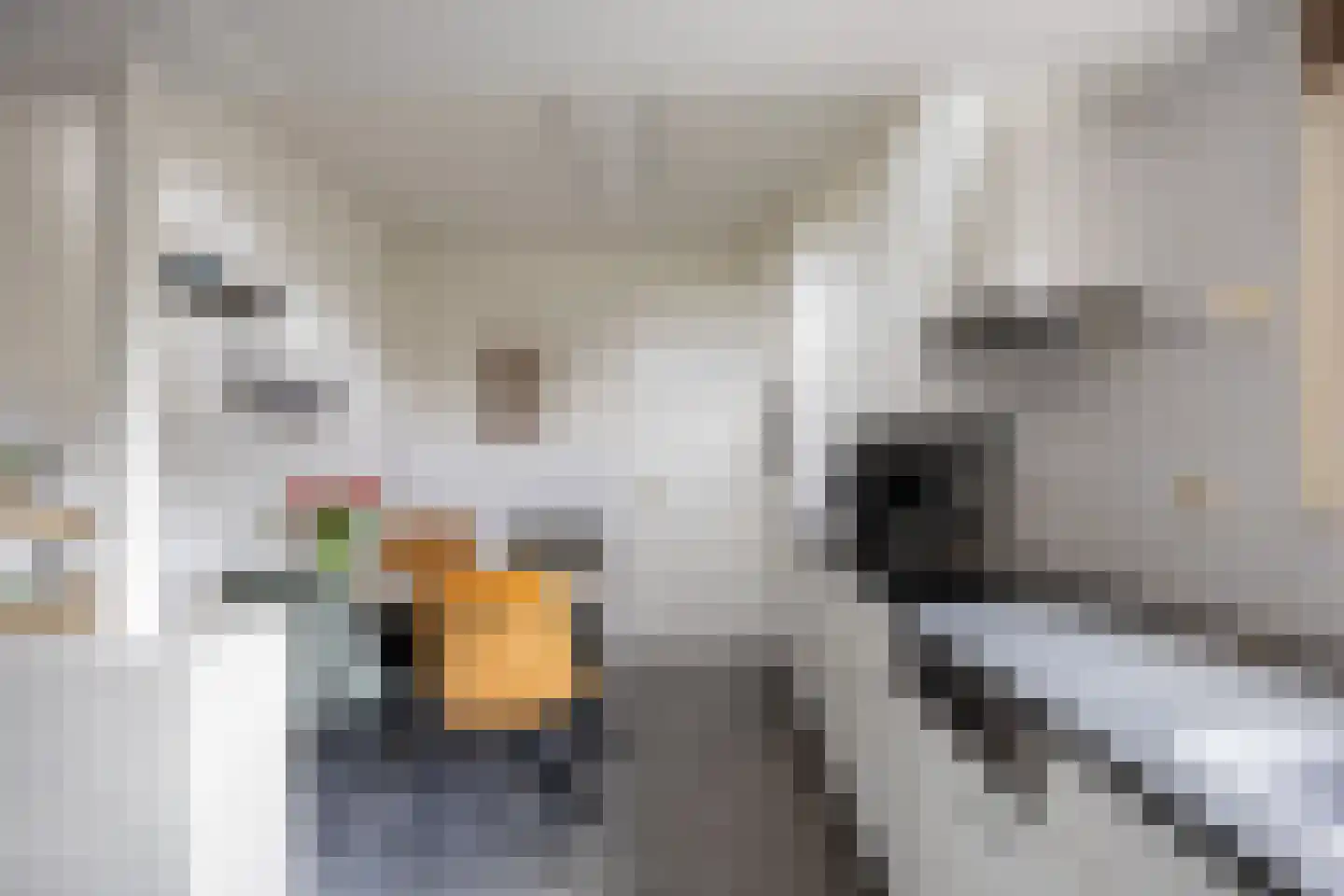 Ds. Sicco Tjadenstraat C 22 A Nieuwe Pekela thumbnail 11