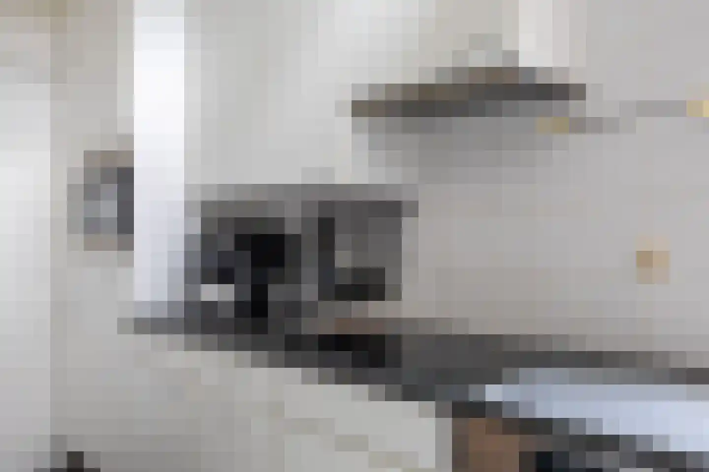 Ds. Sicco Tjadenstraat C 22 A Nieuwe Pekela thumbnail 12