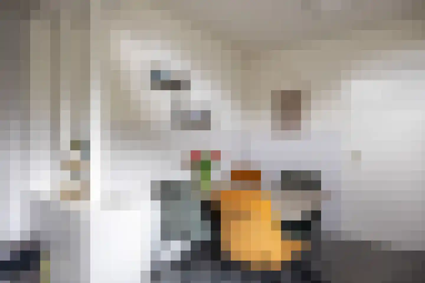 Ds. Sicco Tjadenstraat C 22 A Nieuwe Pekela thumbnail 13