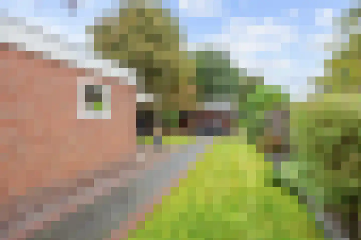 Ds. Sicco Tjadenstraat C 22 A Nieuwe Pekela thumbnail 32