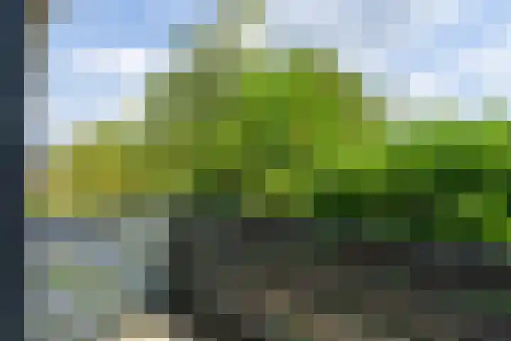 Ds. Talmalaan 4 Andel thumbnail 28