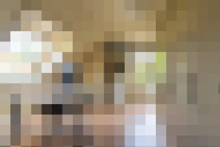 Ds. Talmalaan 4 Andel thumbnail 29