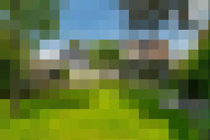 Ds. Talmalaan 4 Andel thumbnail 40