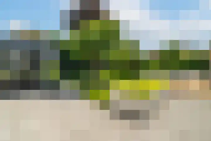 Ds. Talmalaan 4 Andel thumbnail 41