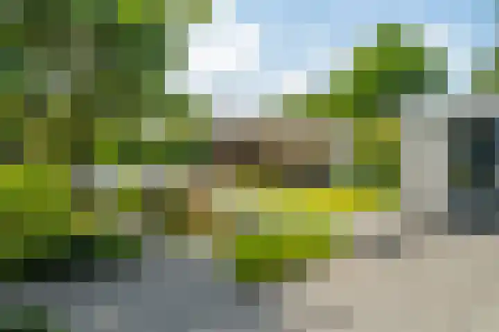Ds. Talmalaan 4 Andel thumbnail 42