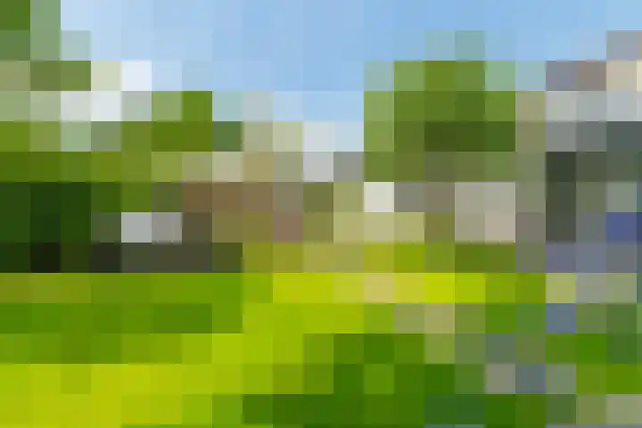Ds. Talmalaan 4 Andel thumbnail 44