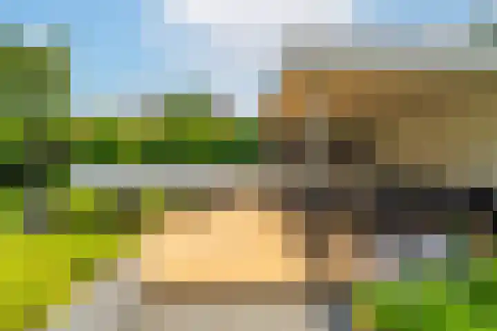 Ds. Talmalaan 4 Andel thumbnail 45