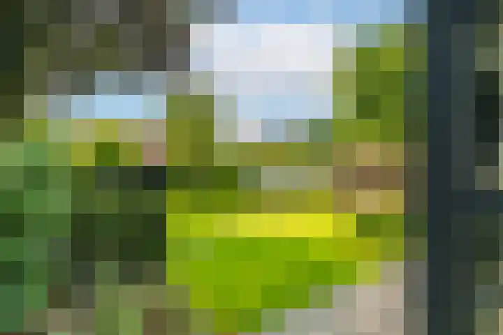 Ds. Talmalaan 4 Andel thumbnail 49