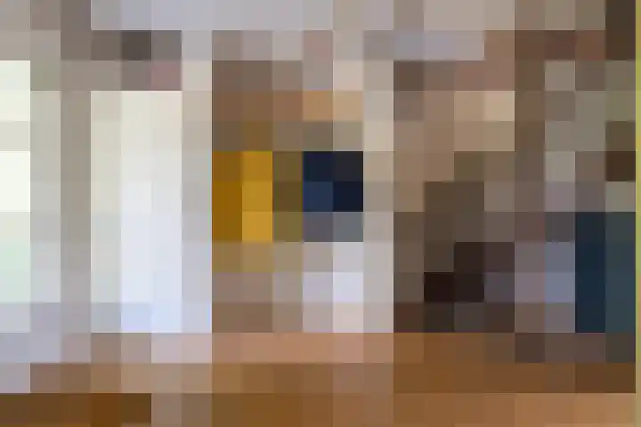 Ds. Talmalaan 4 Andel thumbnail 5