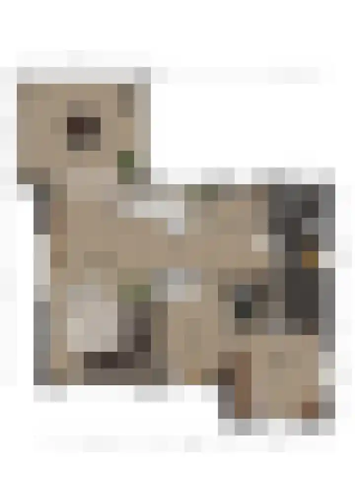 Ds. Talmalaan 4 Andel thumbnail 51