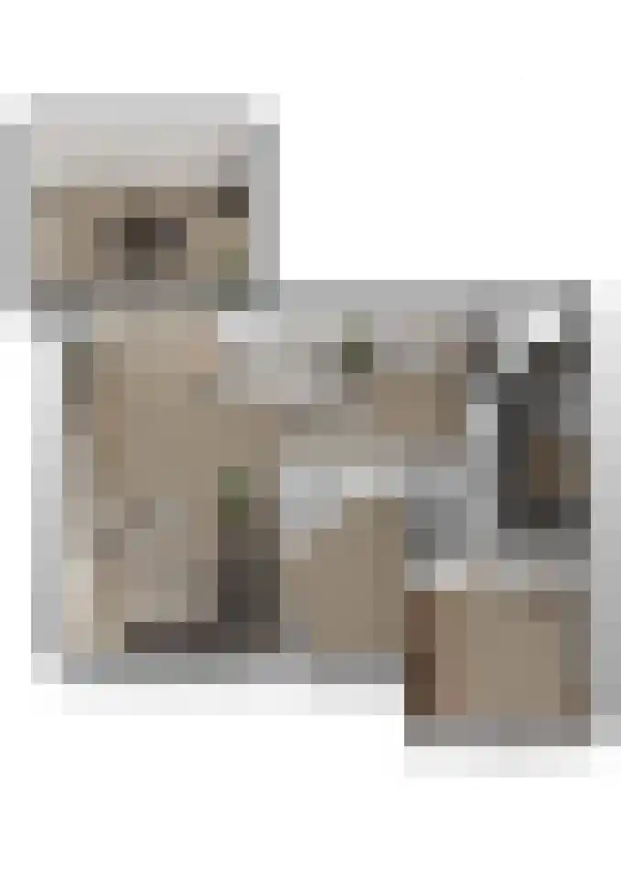 Ds. Talmalaan 4 Andel thumbnail 52