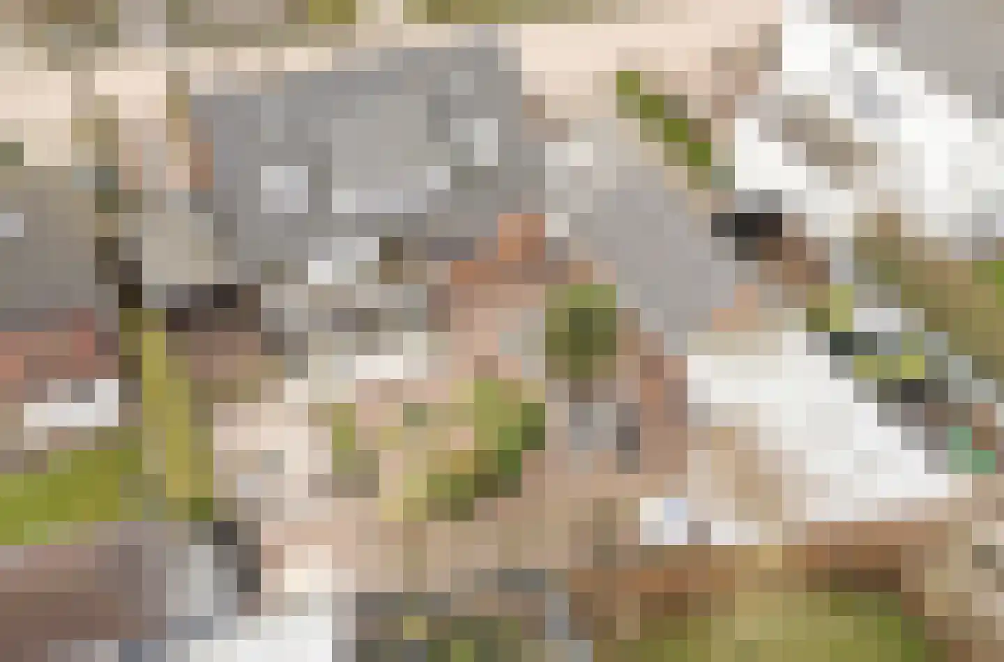 Ds. Talmalaan 7 Andel thumbnail 4
