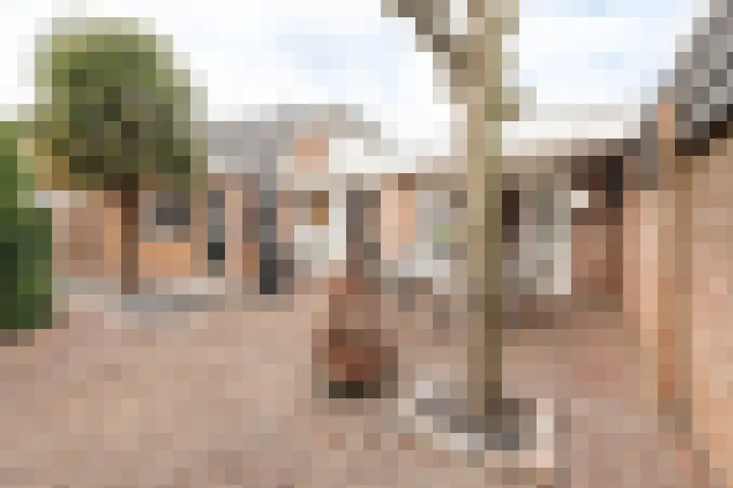 Ds. Talmalaan 7 Andel thumbnail 57