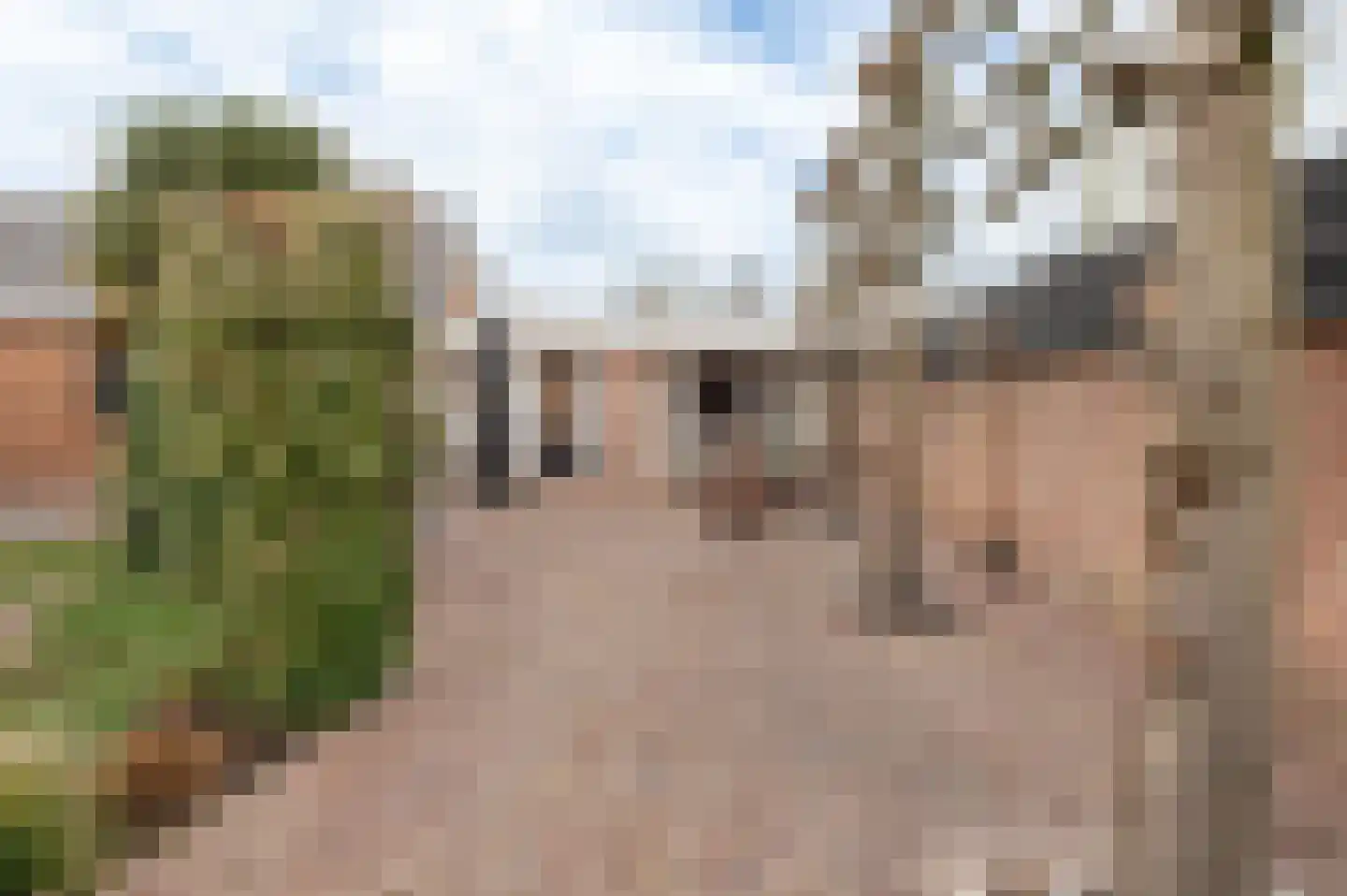 Ds. Talmalaan 7 Andel thumbnail 60