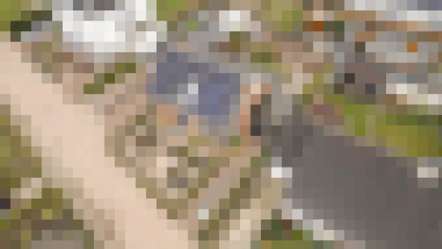 Ds. Talmalaan 7 Andel thumbnail 70