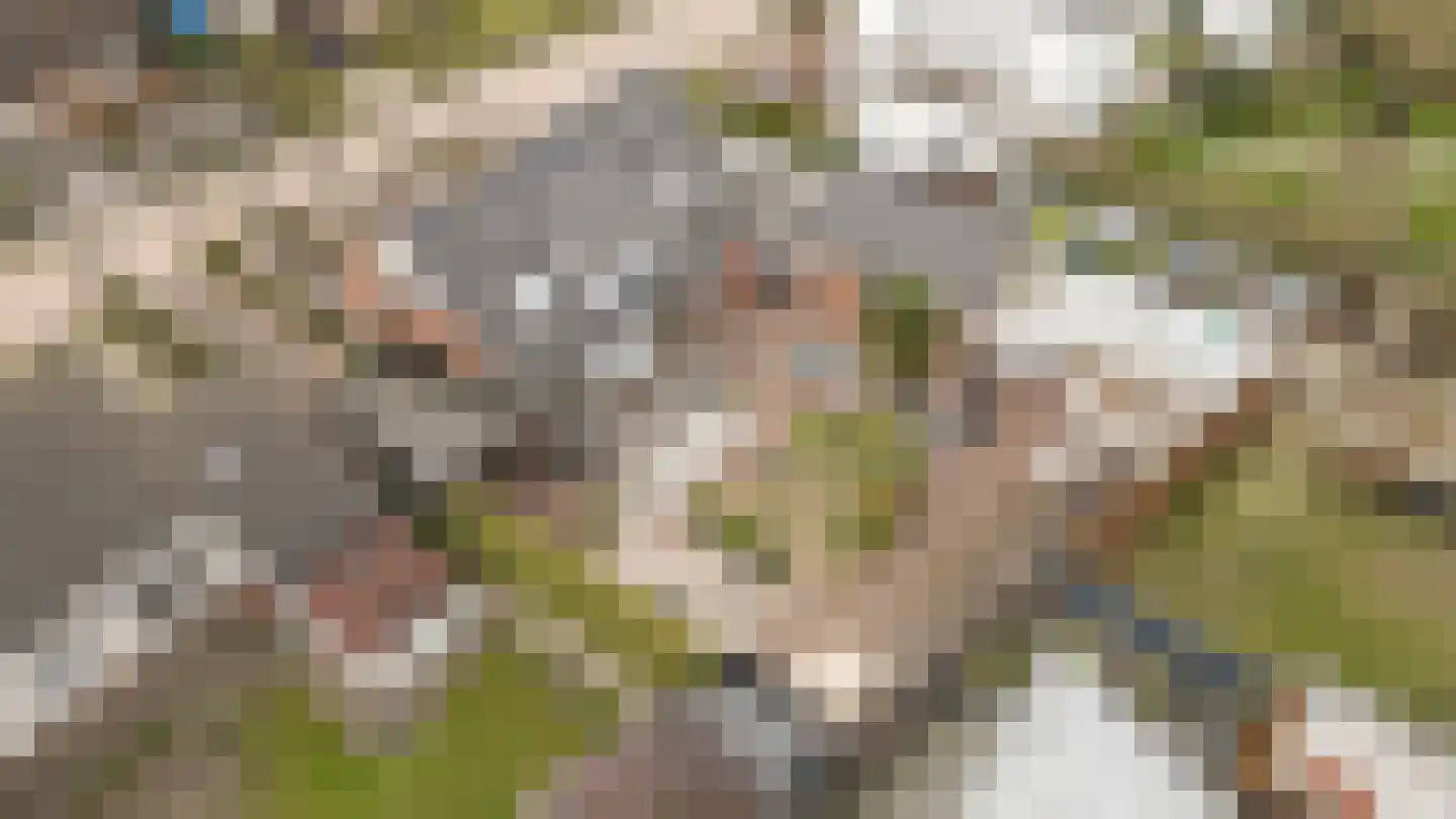 Ds. Talmalaan 7 Andel thumbnail 71