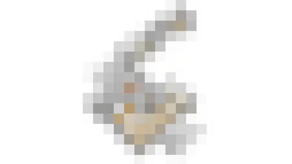 Ds. Talmalaan 7 Andel thumbnail 79