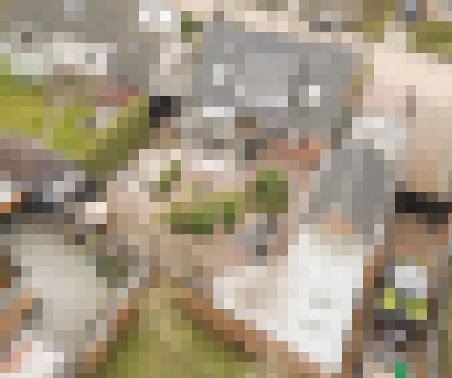 Ds. Talmalaan 7 Andel thumbnail 8