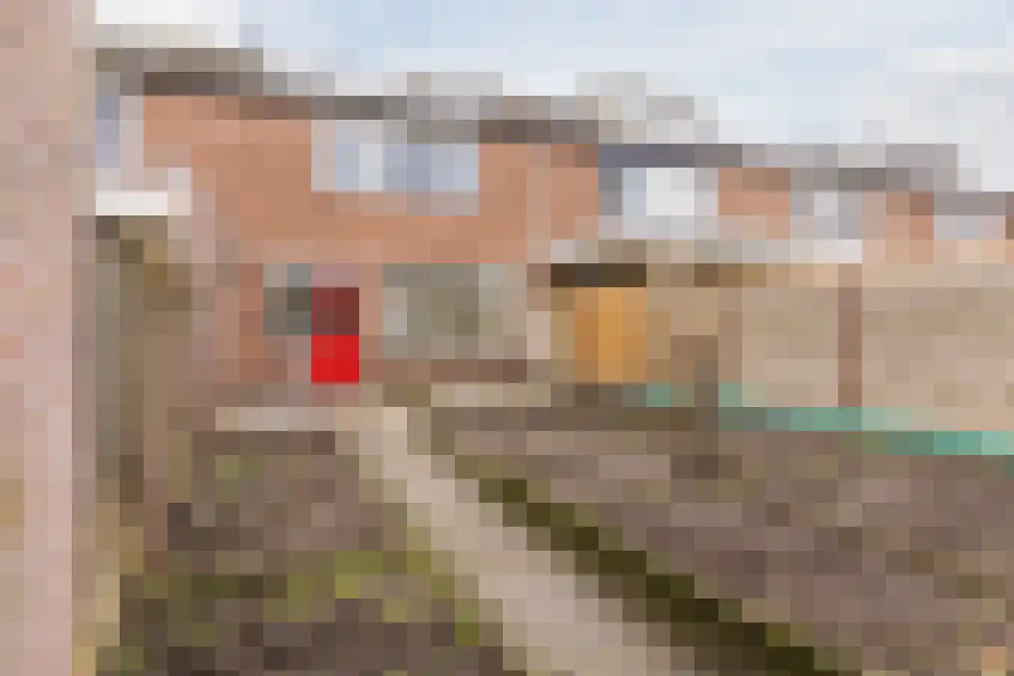Ds. Talmastraat 13 Veghel thumbnail 22
