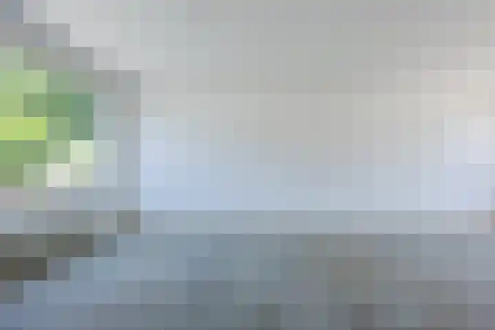 Ds. Talmastraat 4 Veghel thumbnail 7