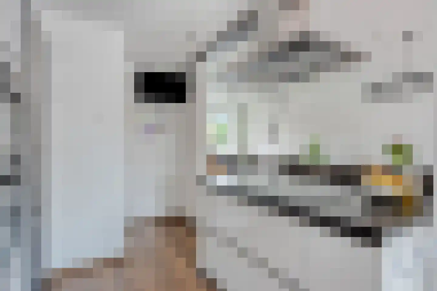 Ds. Talmastraat 8 Veghel thumbnail 7
