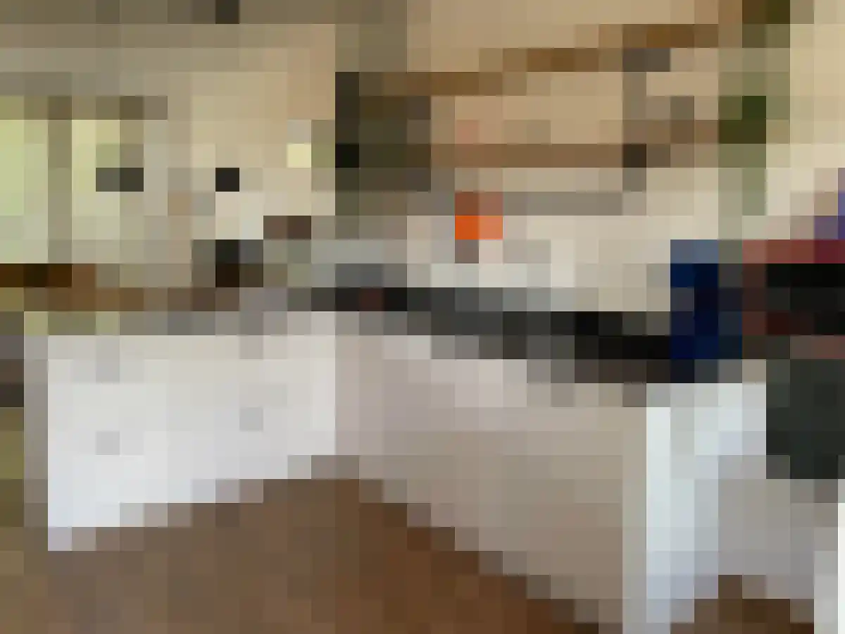 Ds Th Rijckewaerdstraat 10 Brielle thumbnail 5