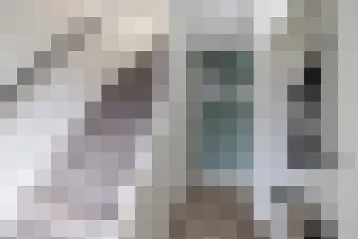 Ds Th Rijckewaerdstraat 3 Brielle thumbnail 10