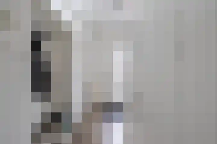 Ds Th Rijckewaerdstraat 3 Brielle thumbnail 11