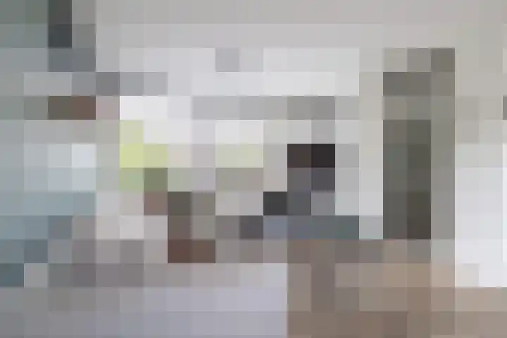 Ds Th Rijckewaerdstraat 3 Brielle thumbnail 14
