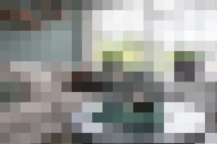 Ds Th Rijckewaerdstraat 3 Brielle thumbnail 15