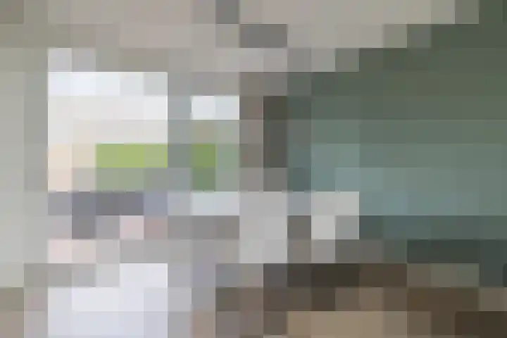 Ds Th Rijckewaerdstraat 3 Brielle thumbnail 17