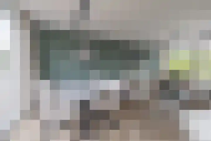 Ds Th Rijckewaerdstraat 3 Brielle thumbnail 18