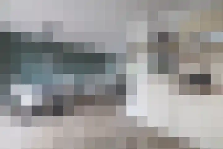 Ds Th Rijckewaerdstraat 3 Brielle thumbnail 22