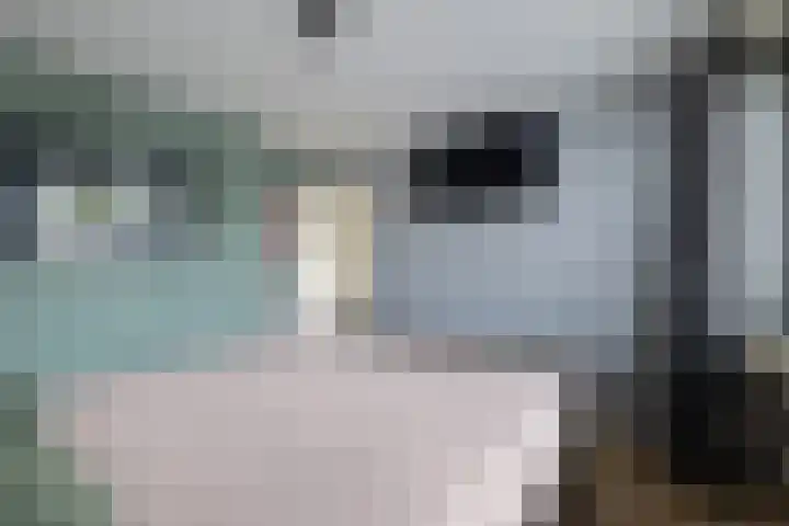 Ds Th Rijckewaerdstraat 3 Brielle thumbnail 25
