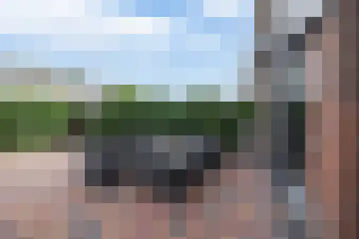 Ds Th Rijckewaerdstraat 3 Brielle thumbnail 34