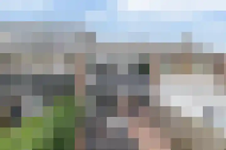 Ds Th Rijckewaerdstraat 3 Brielle thumbnail 39