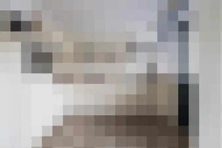 Ds Th Rijckewaerdstraat 3 Brielle thumbnail 4