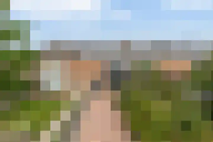 Ds Th Rijckewaerdstraat 3 Brielle thumbnail 5