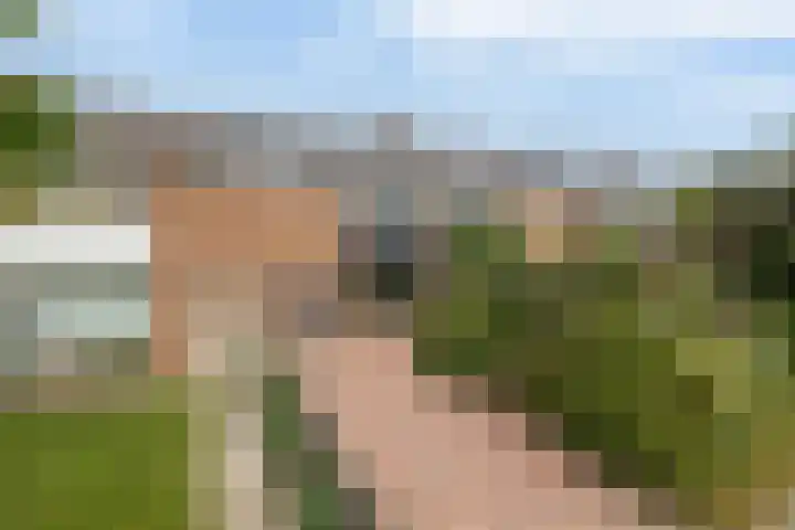 Ds Th Rijckewaerdstraat 3 Brielle thumbnail 6