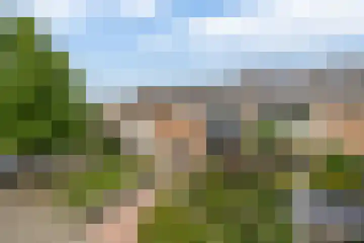 Ds Th Rijckewaerdstraat 3 Brielle thumbnail 7
