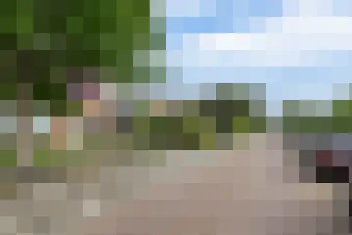 Ds Th Rijckewaerdstraat 3 Brielle thumbnail 8